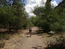 photo thumbnail #2