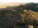 photo thumbnail #14