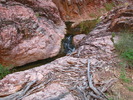 photo thumbnail #6
