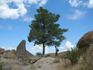 photo thumbnail #2