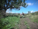 photo thumbnail #5