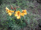 photo thumbnail #6