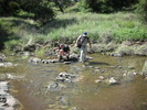 photo thumbnail #9