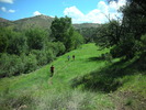 photo thumbnail #10