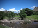 photo thumbnail #11