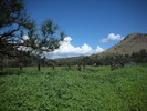 photo thumbnail #14