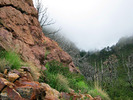 photo thumbnail #5