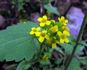 photo thumbnail #13