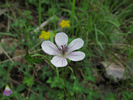 photo thumbnail #14