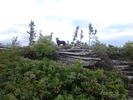 photo thumbnail #1