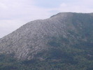 recent photo