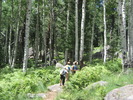 photo thumbnail #4