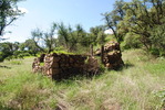 photo thumbnail #11