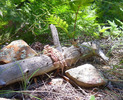photo thumbnail #6