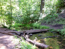 photo thumbnail #8
