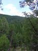 photo thumbnail #11