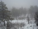 recent photo