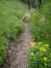 photo thumbnail #6