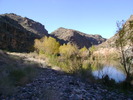 photo thumbnail #3