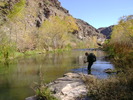 photo thumbnail #8