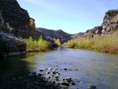 photo thumbnail #12