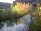 photo thumbnail #13