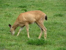 photo thumbnail #3
