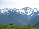 photo thumbnail #5