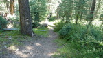 photo thumbnail #3