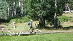 photo thumbnail #11