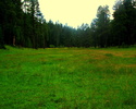 photo thumbnail #15