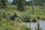 photo thumbnail #11
