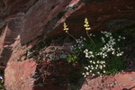 photo thumbnail #14