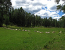 photo thumbnail #15