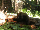 photo thumbnail #5