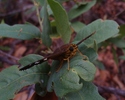photo thumbnail #13