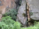 photo thumbnail #12