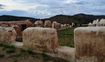 photo thumbnail #8