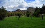 photo thumbnail #9