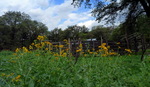 photo thumbnail #11