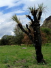 photo thumbnail #14