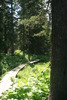 photo thumbnail #11