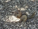 photo thumbnail #7