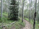 photo thumbnail #4