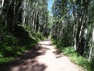 photo thumbnail #2