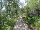 photo thumbnail #2