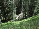 photo thumbnail #7