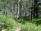 photo thumbnail #8