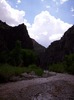 photo thumbnail #12