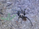 photo thumbnail #14